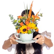 Sun Cup Gül & Günebakan