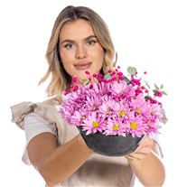 Rosy Harmony Kasımpatı Aranjmanı