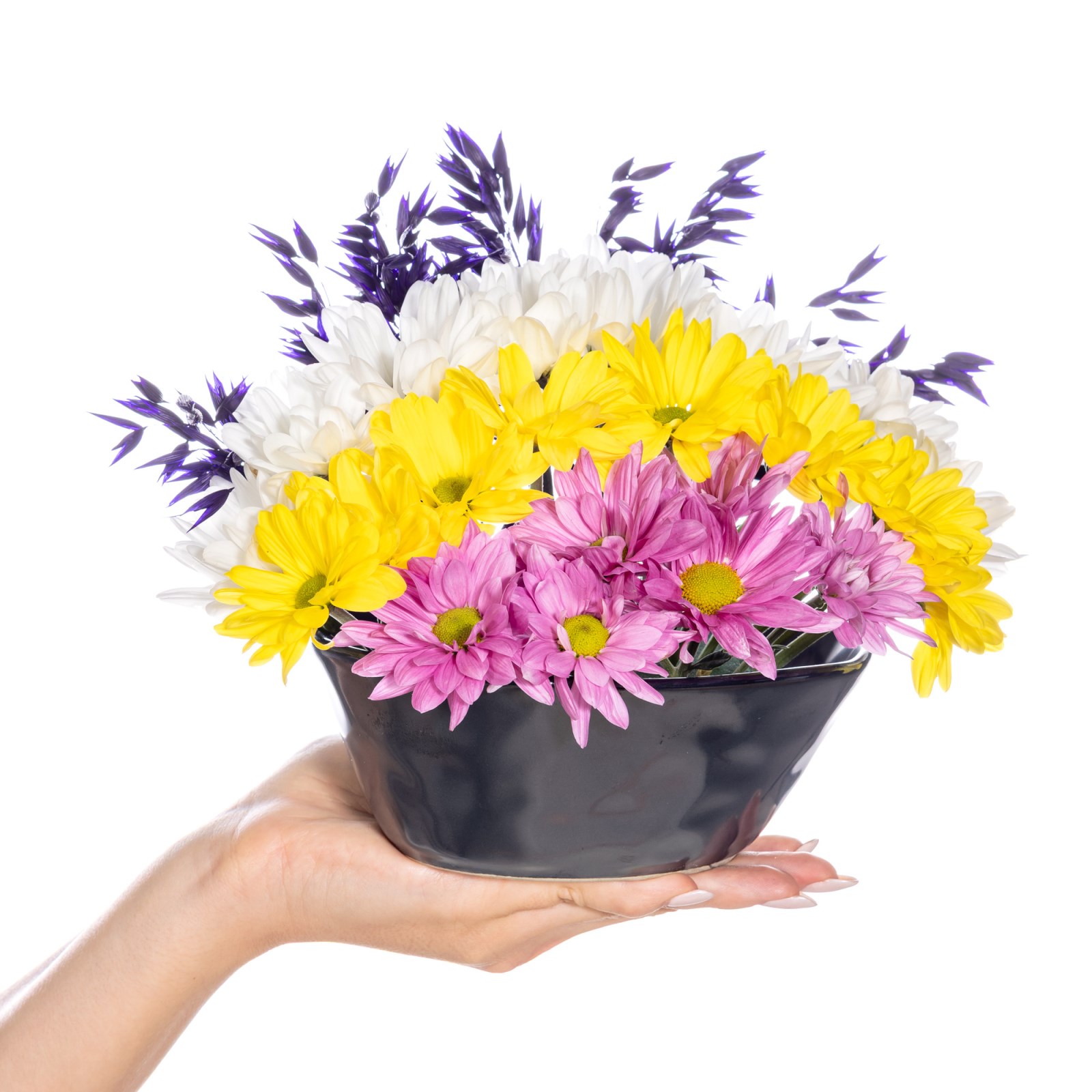 Rainbow Bloom Kasımpatı Aranjmanı