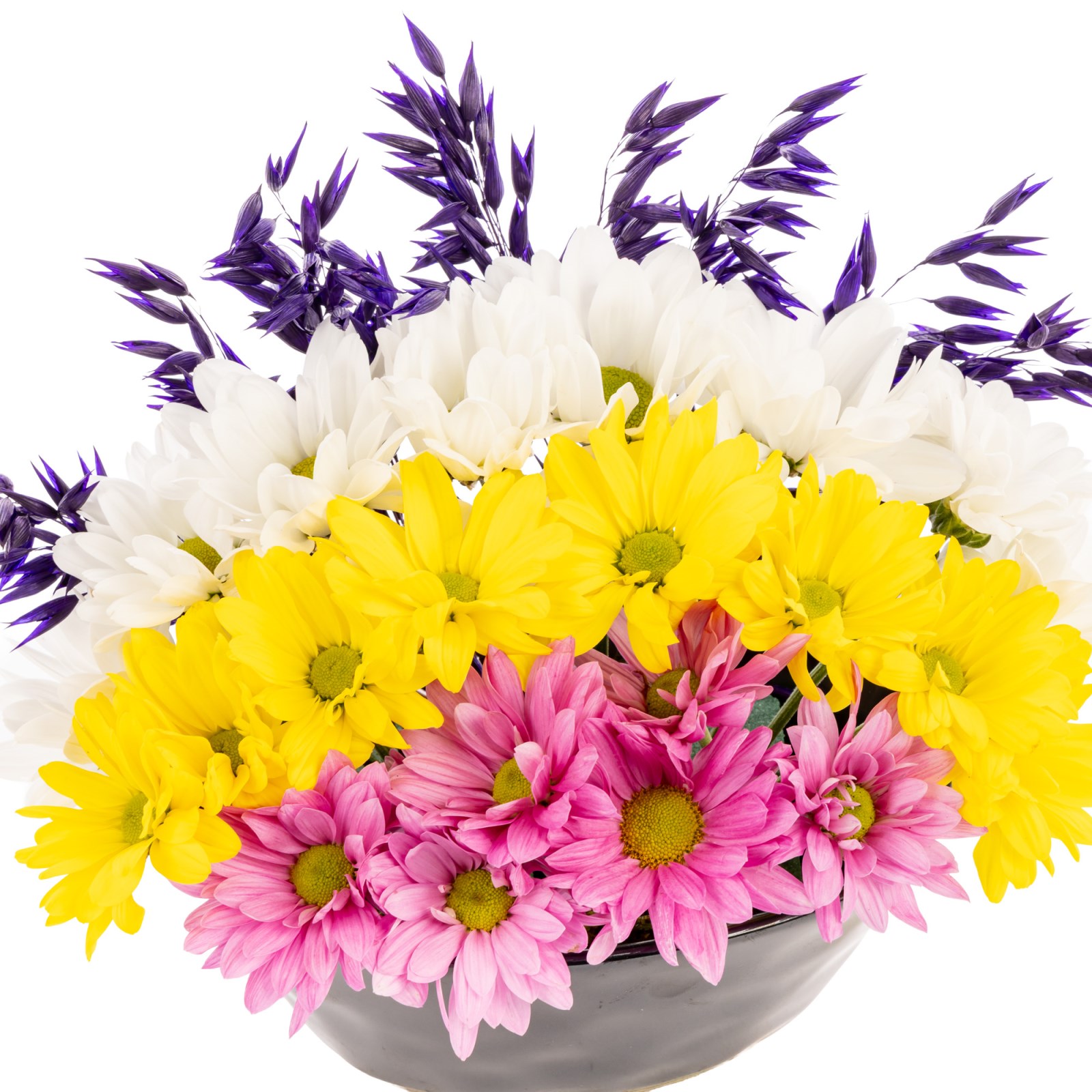 Rainbow Bloom Kasımpatı Aranjmanı