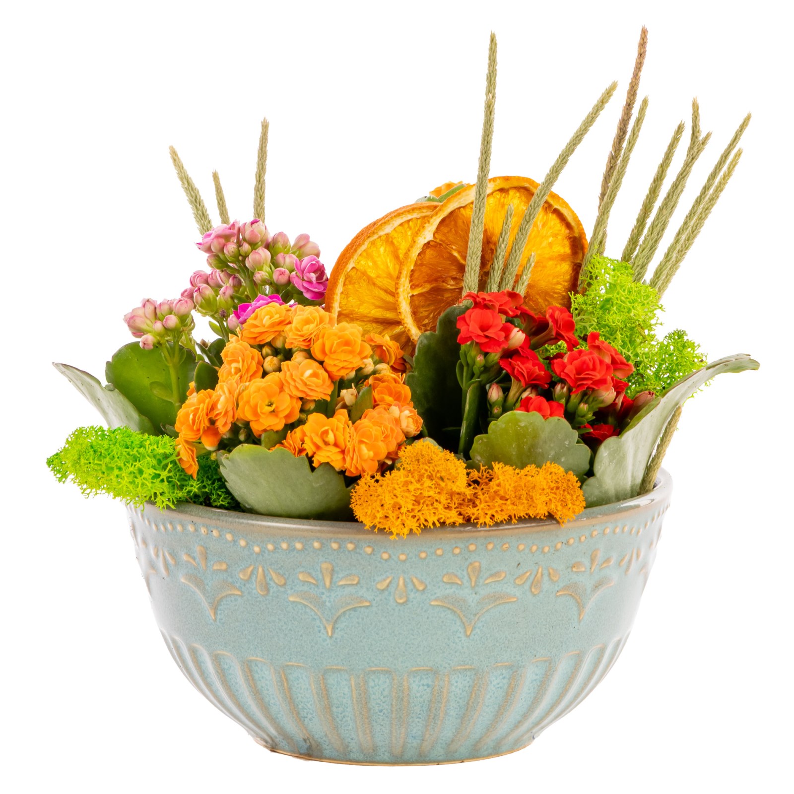 Citrus Joy Kalanşo Bahçesi