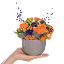 Orange Spirit Kalanşo Aranjmanı