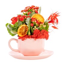 Red Charm Kalanşo Fincan Aranjmanı