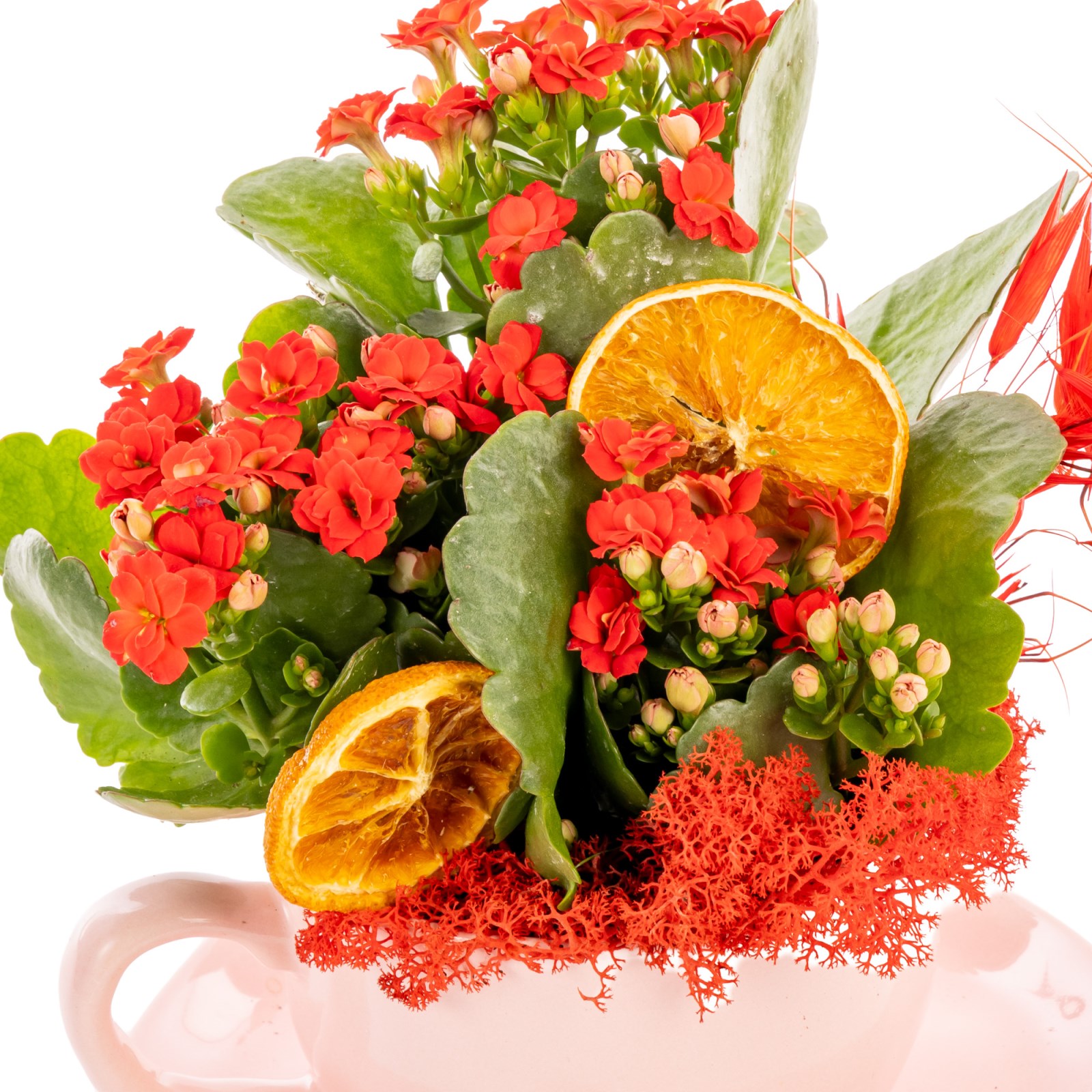 Red Charm Kalanşo Fincan Aranjmanı