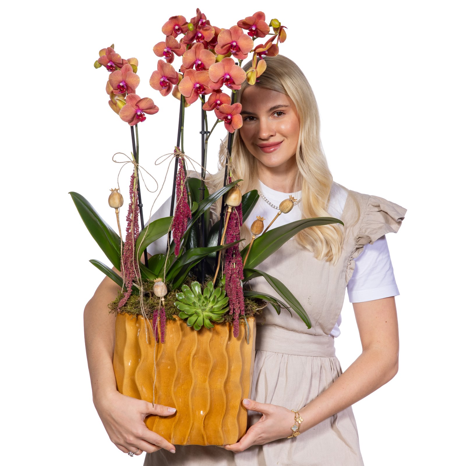 Premium Orange Orchid Turuncu Orkide