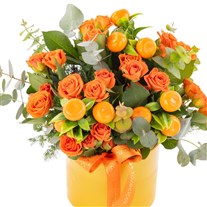 Orange Spark Gül Aranjman