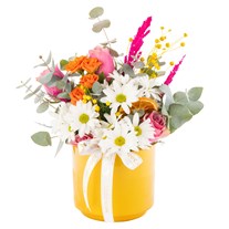 Fresh Smile Daisies