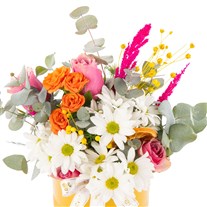 Fresh Smile Daisies