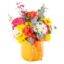 Pop Daisies Mix Aranjman
