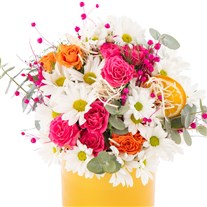 Rose Bloom Papatyalar