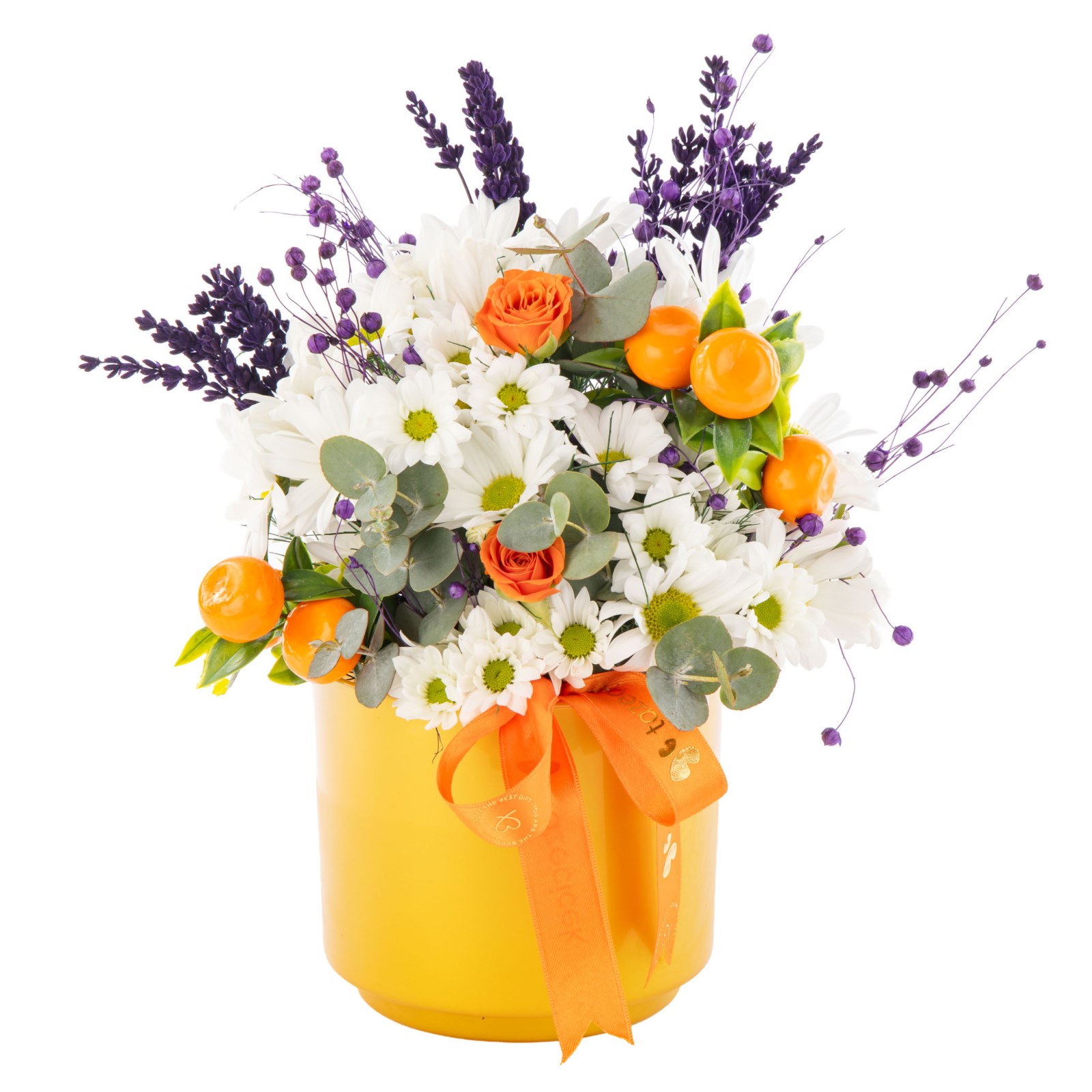 Citrus Bloom Daisies