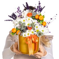Citrus Bloom Daisies
