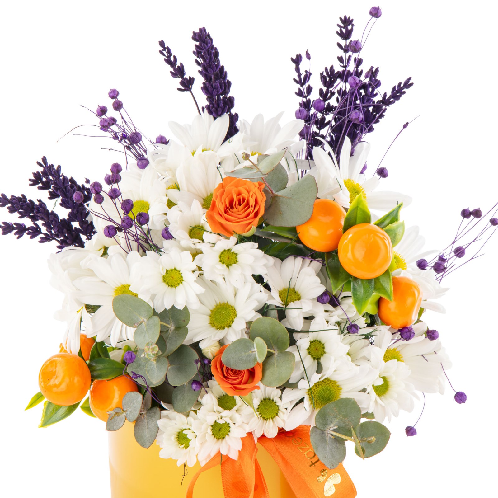 Citrus Bloom Daisies