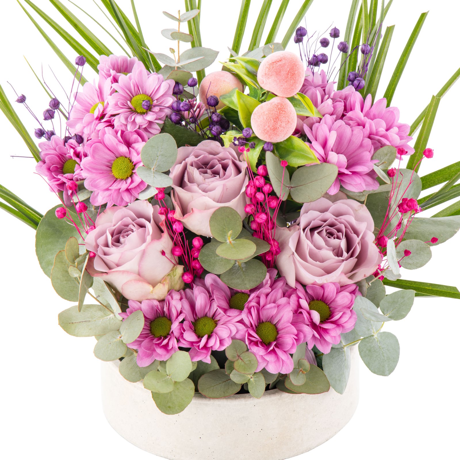 Lilac Edit Roses & Kasımpatı