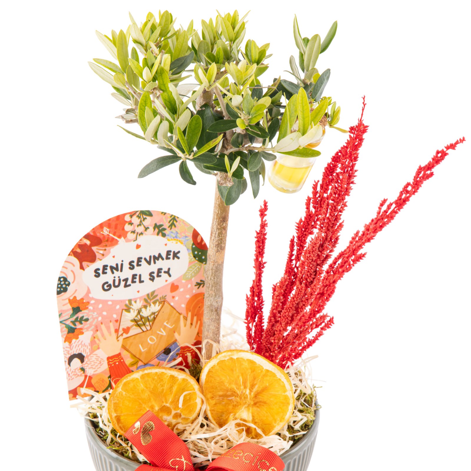 Olive Love Tree