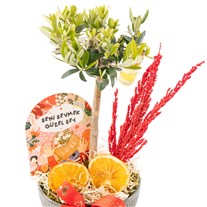 Olive Love Tree