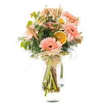 Soft Peach Gerbera Vazosu