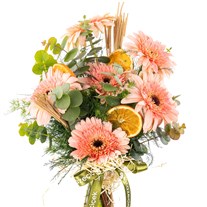 Soft Peach Gerbera Vazosu