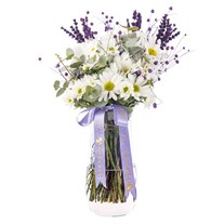 Lavender Breeze Vazoda Papatya
