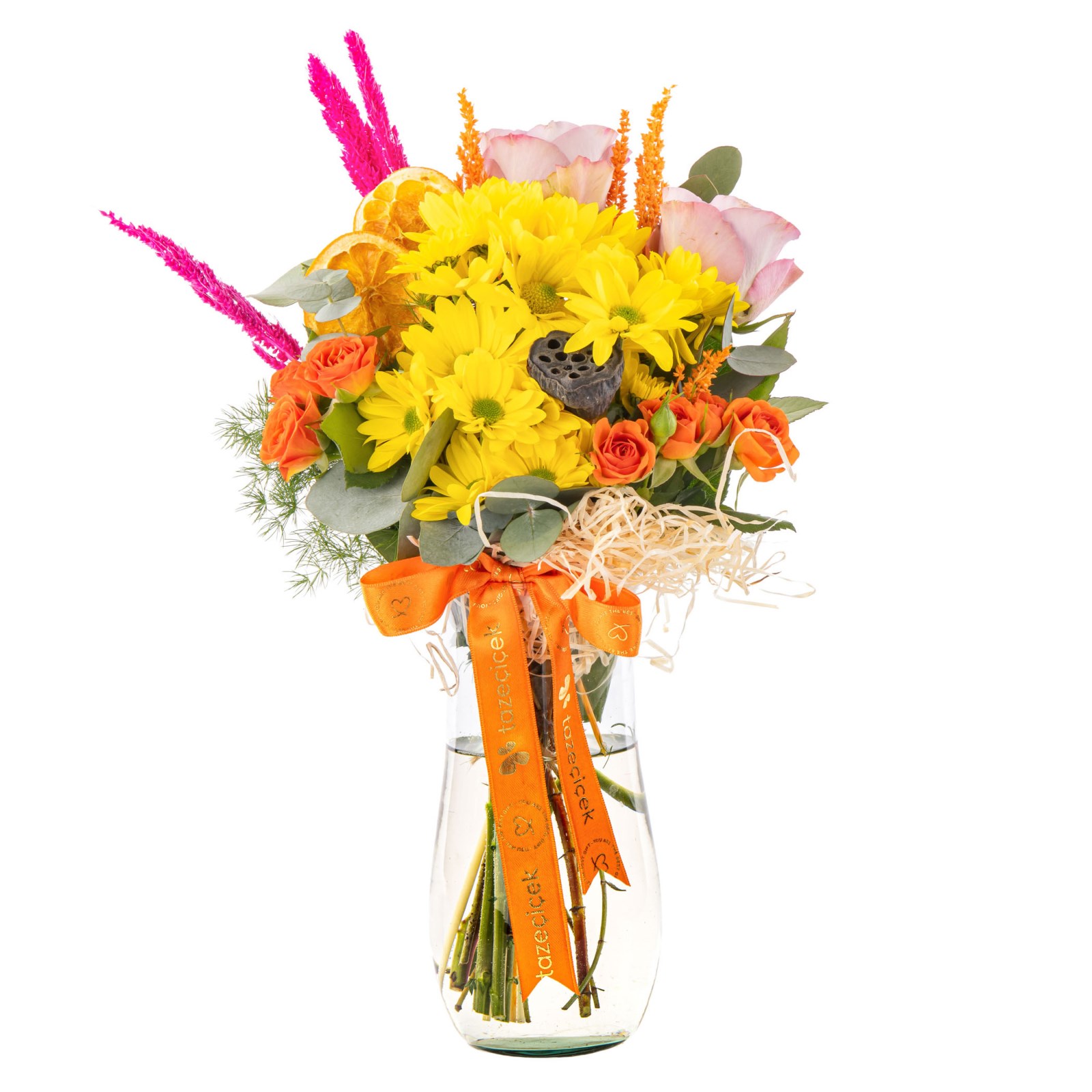 Colorful Mood Daisies