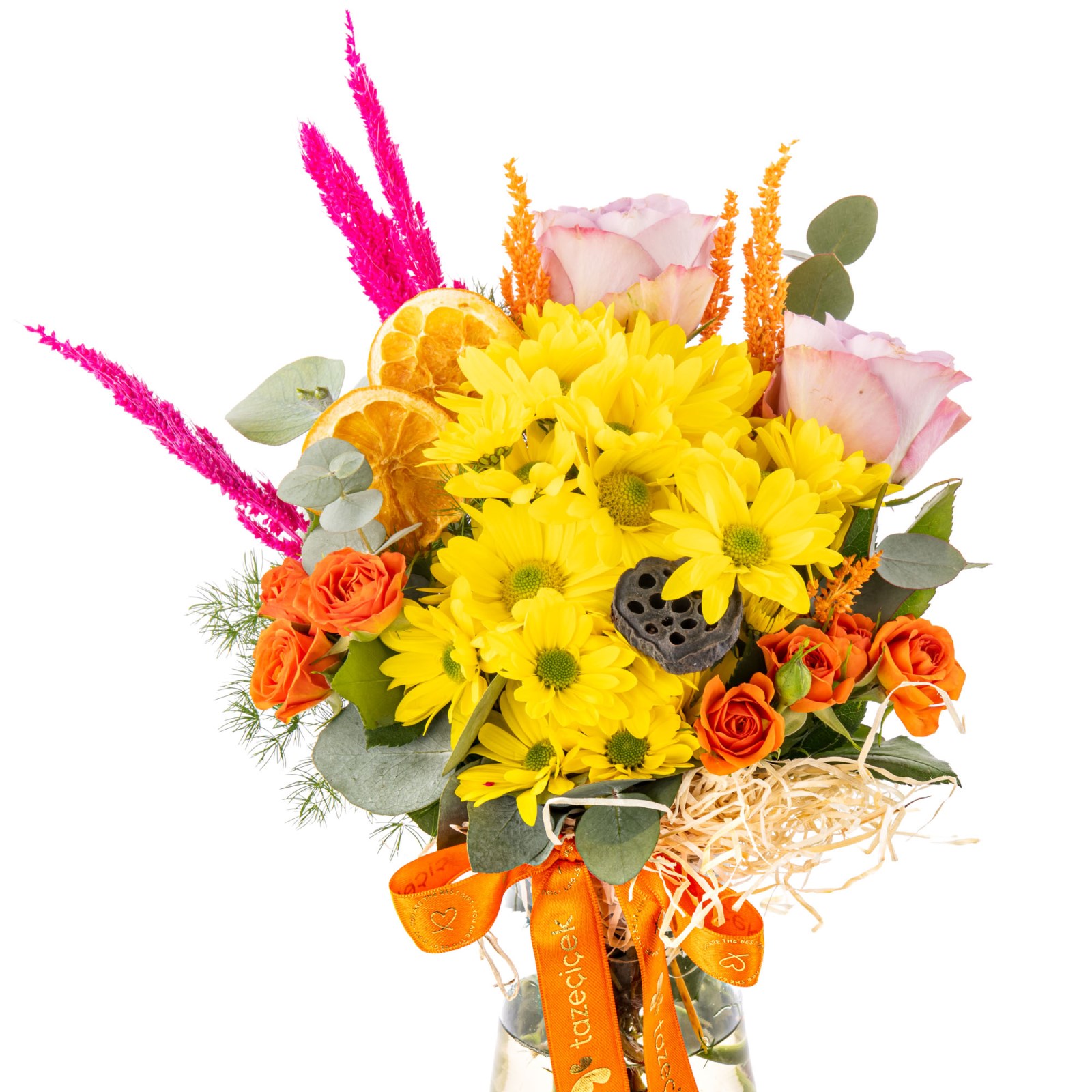 Colorful Mood Daisies