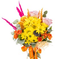 Colorful Mood Daisies