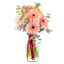 Soft Peach Vazoda Gerbera