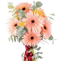 Soft Peach Vazoda Gerbera