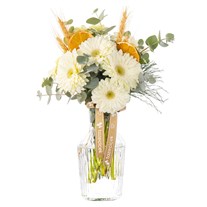 Soft Citrus Vazoda Beyaz Gerberalar