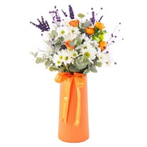 Orange Touch Daisies