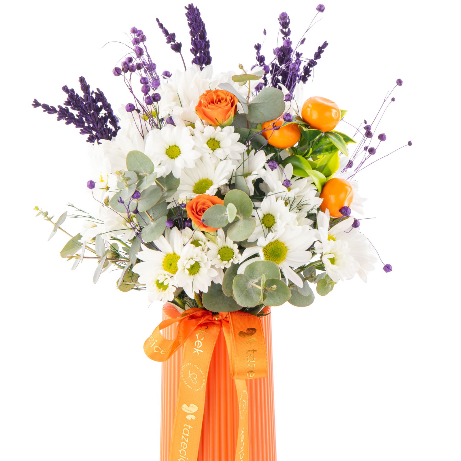 Orange Touch Daisies