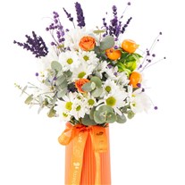 Orange Touch Daisies