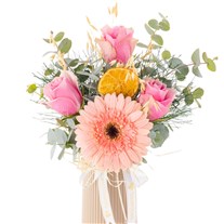 Soft Blush Gerbera & Pembe Gül