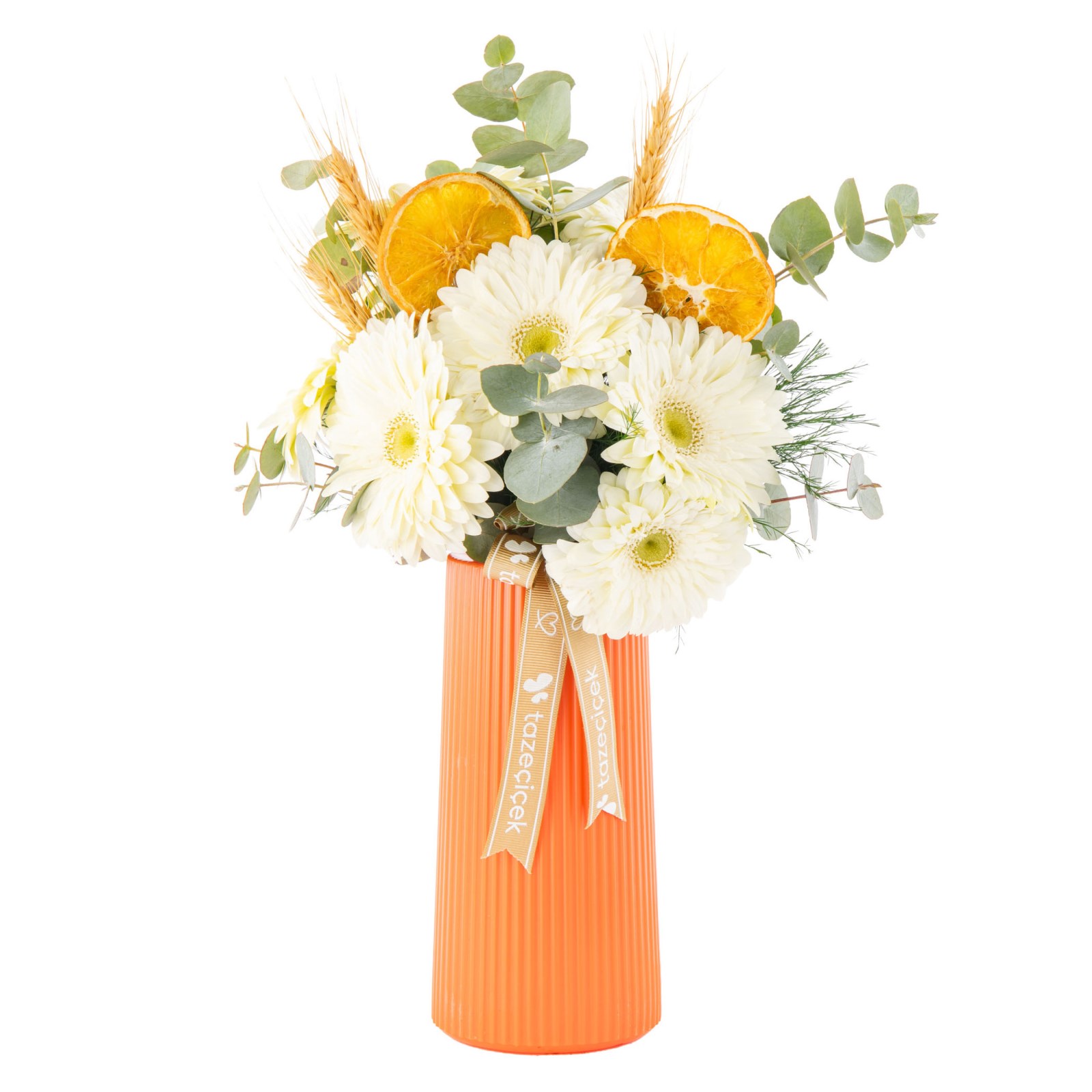 Citrus White Gerbera