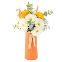 Citrus White Gerbera