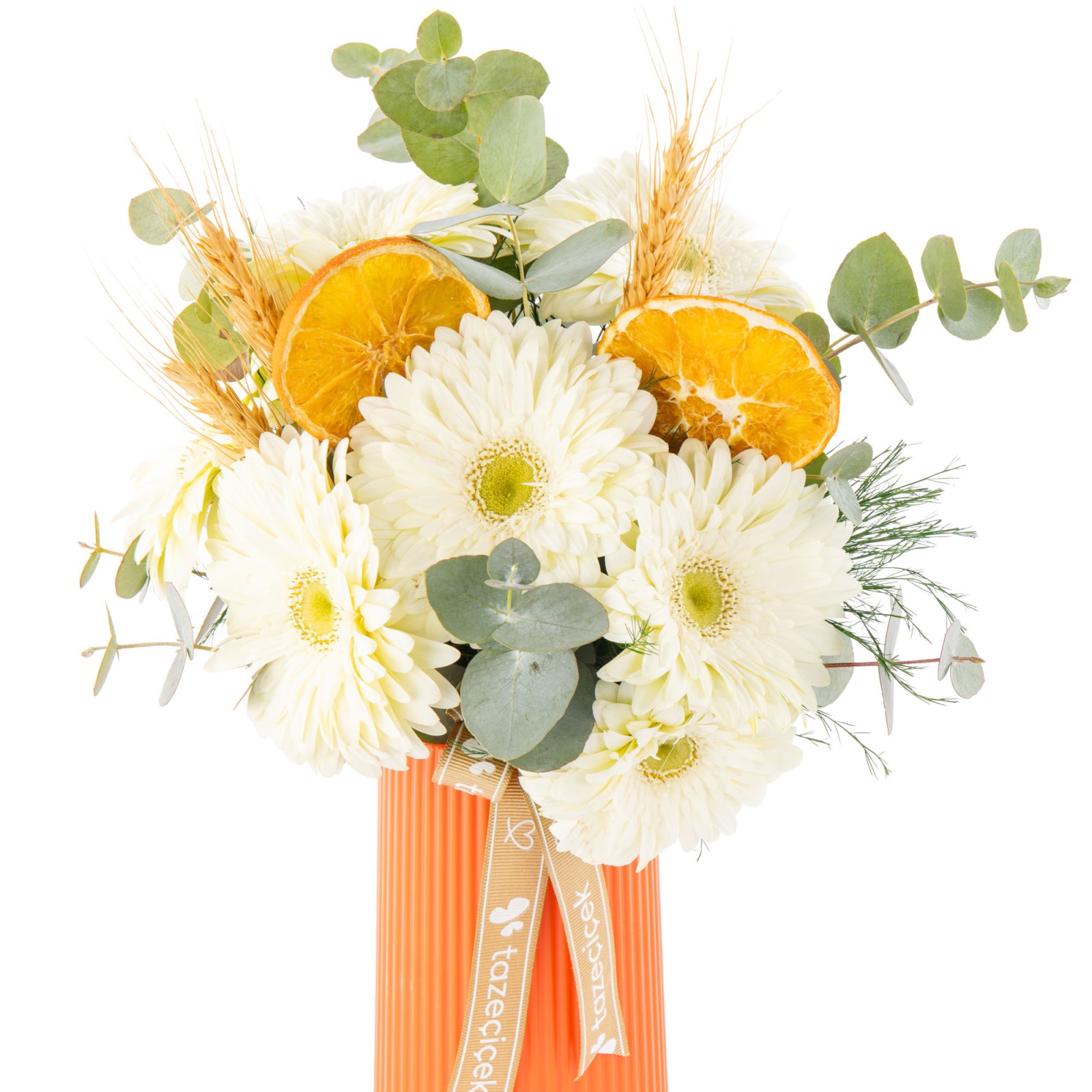 Citrus White Gerbera