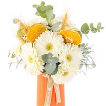 Citrus White Gerbera