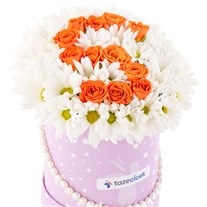 Orange Smile Papatyalar