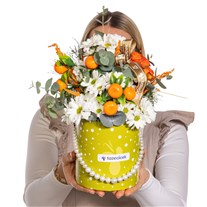 Sunny Citrus Papatya Kutusu
