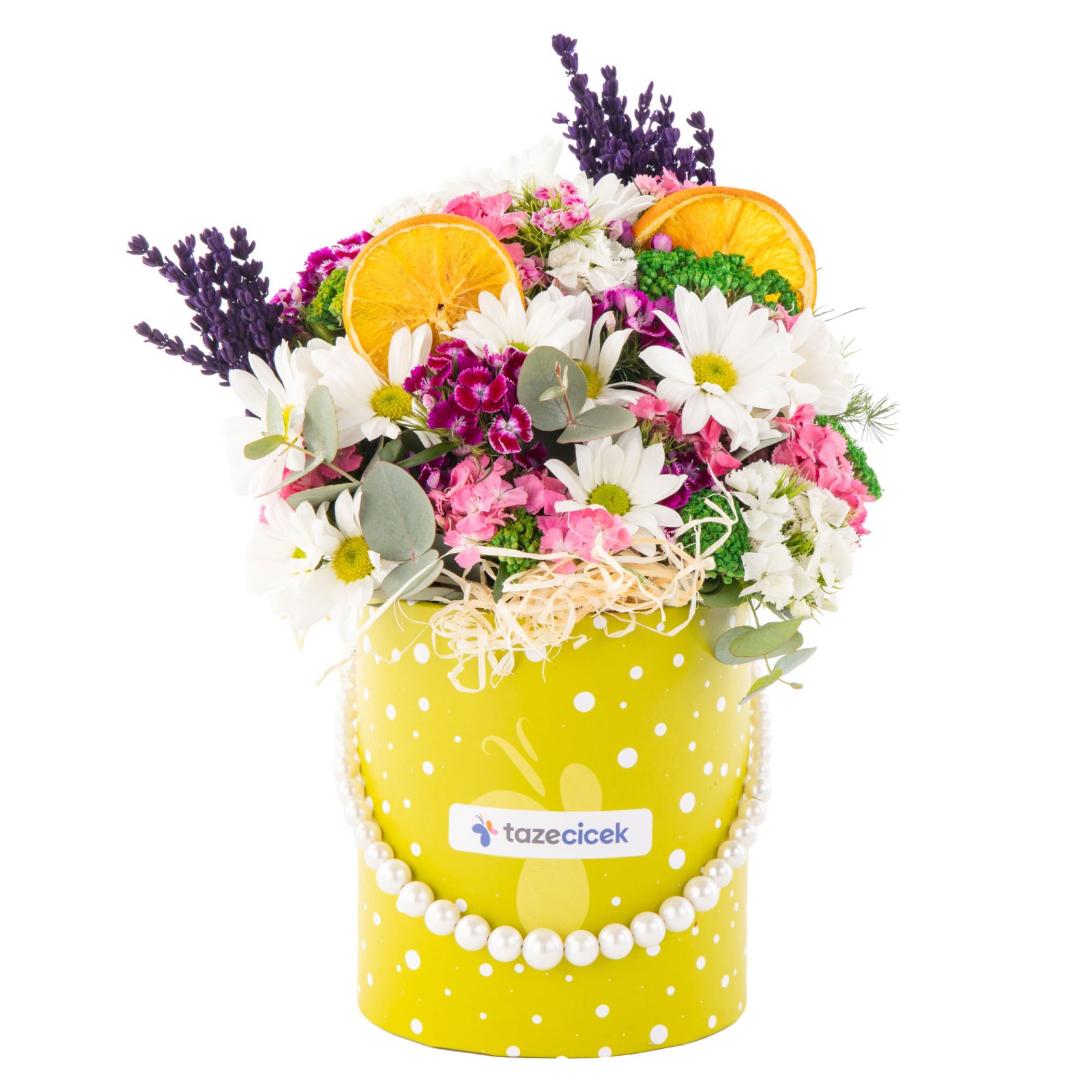 Spring Smile Papatyalar