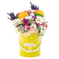 Spring Smile Papatyalar