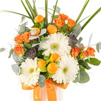 The Bloom Club Gerbera & Gül Aranjman