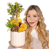 Golden Grove Zeytin Ağacı