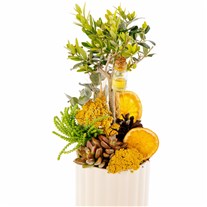 Golden Grove Zeytin Ağacı