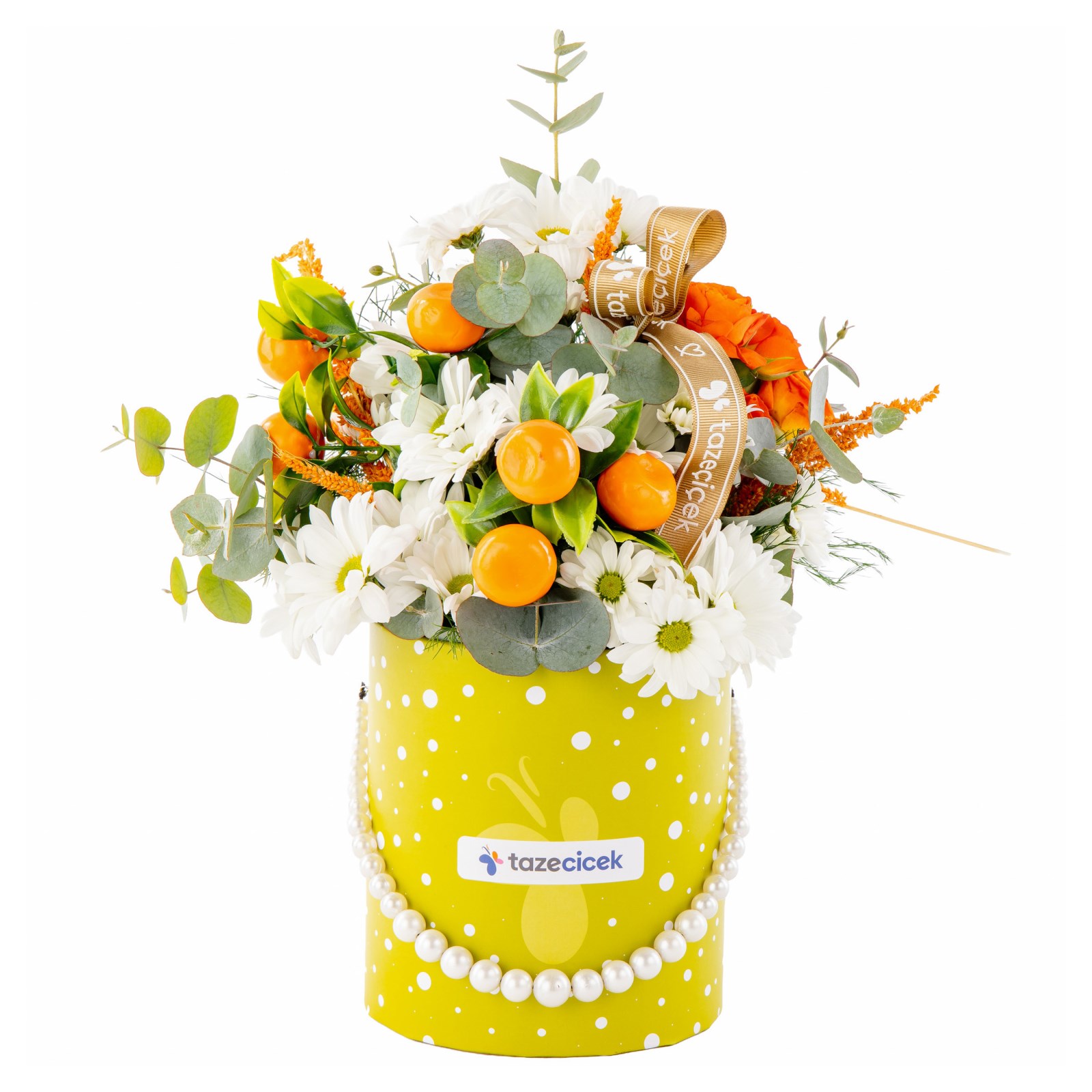 Sunny Citrus Papatya Kutusu