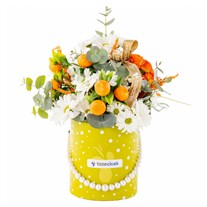 Sunny Citrus Papatya Kutusu