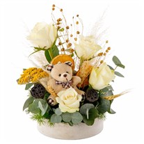 Teddy Garden White Roses