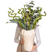 Zen Şans Bambu Aranjmanı