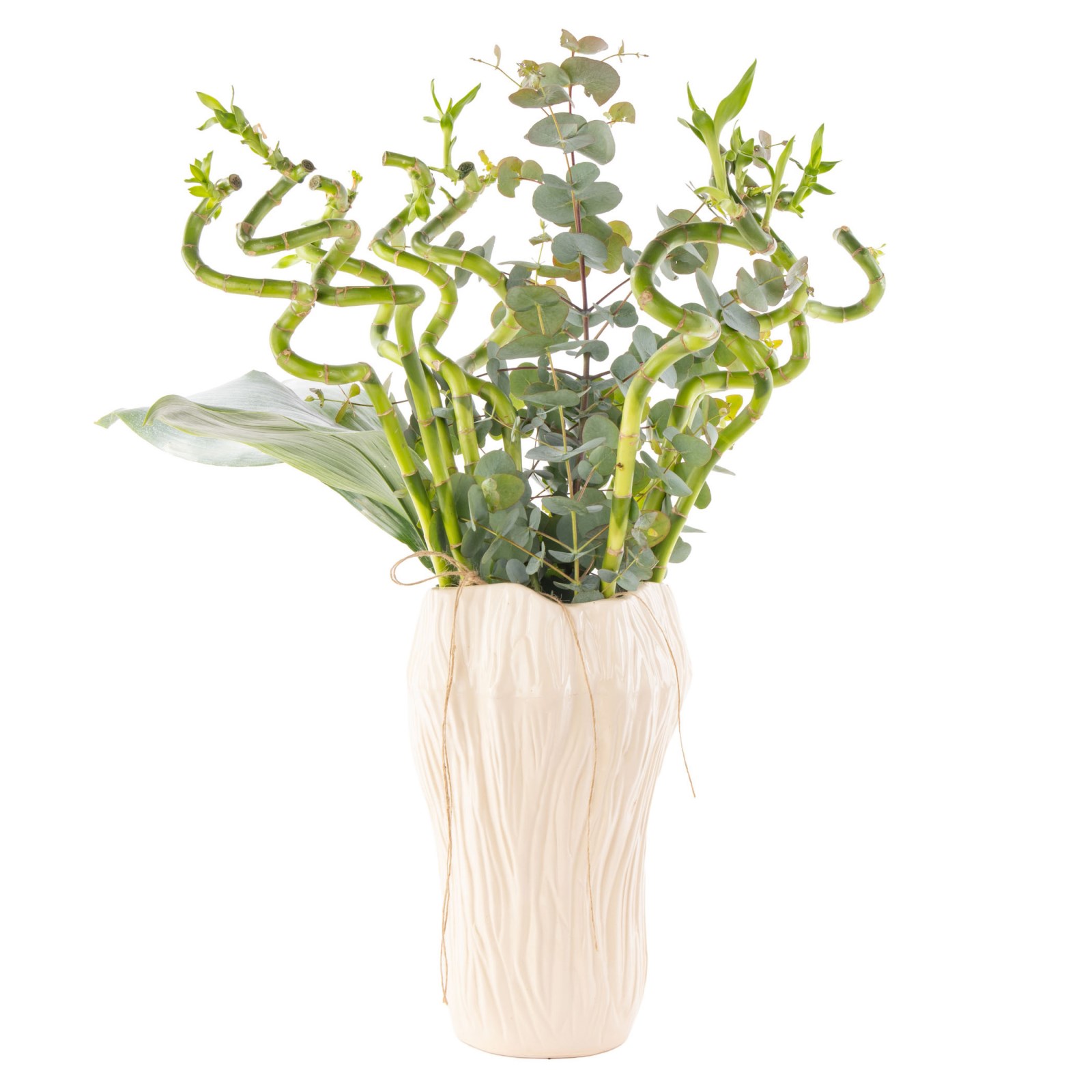 Zen Şans Bambu Aranjmanı