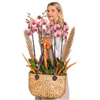 Hasır Sepette Premium Turuncu Orkide
